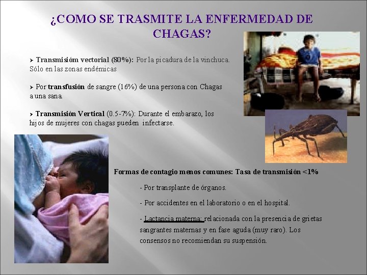 ¿COMO SE TRASMITE LA ENFERMEDAD DE CHAGAS? Transmisióm vectorial (80%): Por la picadura de