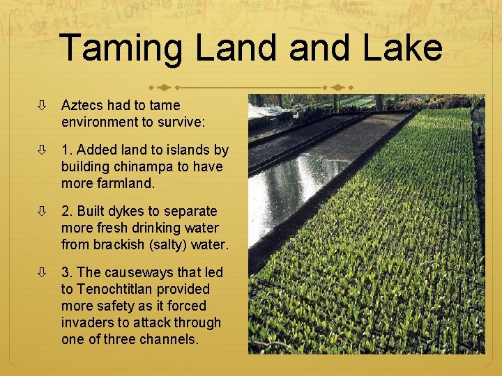 Taming Land Lake Aztecs had to tame environment to survive: 1. Added land to