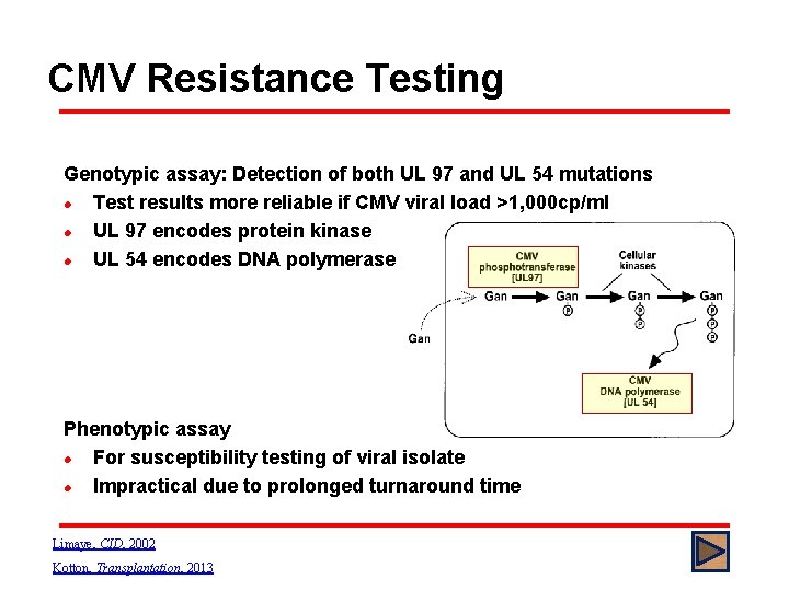 CMV Resistance Testing Genotypic assay: Detection of both UL 97 and UL 54 mutations