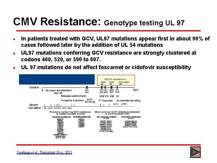 CMV Resistance: Genotype testing UL 97 l l l In patients treated with GCV,