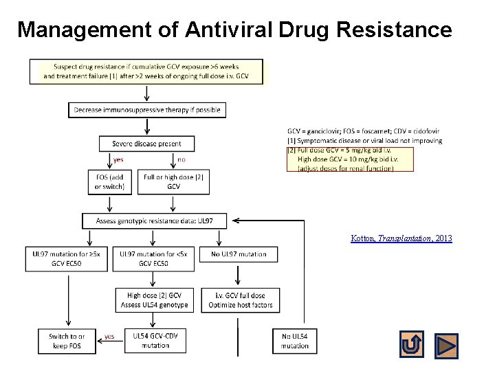 Management of Antiviral Drug Resistance Kotton, Transplantation, 2013 