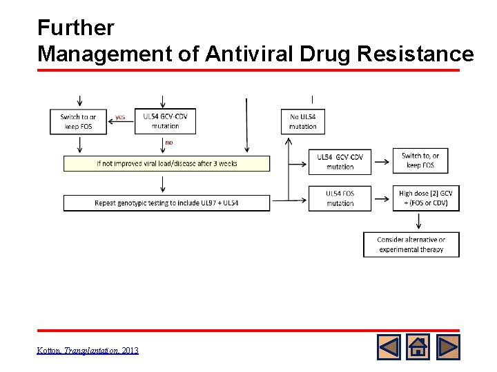 Further Management of Antiviral Drug Resistance Kotton, Transplantation, 2013 