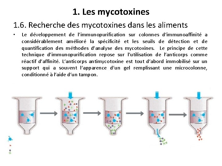 1. Les mycotoxines 1. 6. Recherche des mycotoxines dans les aliments • Le développement