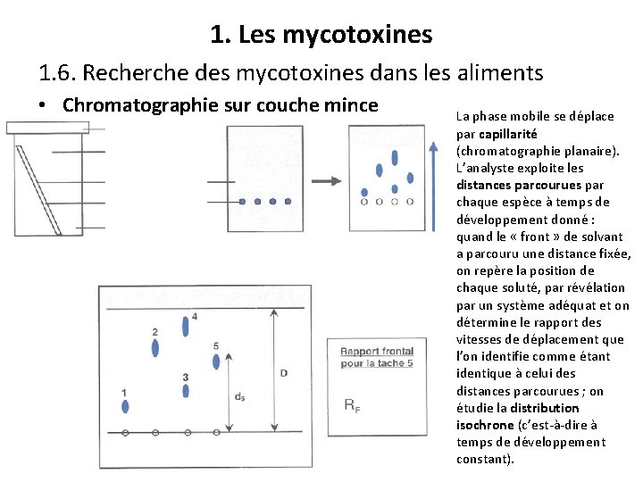 1. Les mycotoxines 1. 6. Recherche des mycotoxines dans les aliments • Chromatographie sur