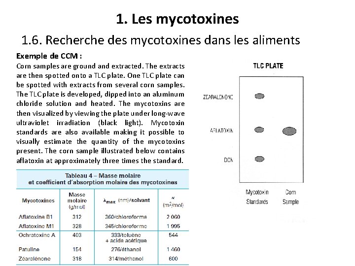 1. Les mycotoxines 1. 6. Recherche des mycotoxines dans les aliments Exemple de CCM