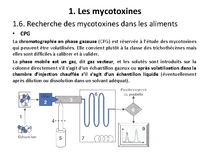 1. Les mycotoxines 1. 6. Recherche des mycotoxines dans les aliments • CPG La