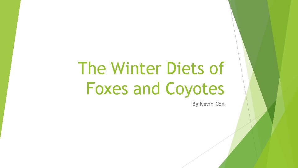 The Winter Diets of Foxes and Coyotes By Kevin Cox 