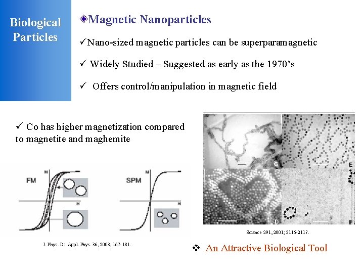 Biological Particles Magnetic Nanoparticles üNano-sized magnetic particles can be superparamagnetic ü Widely Studied –