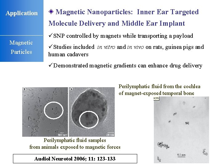 Application Magnetic Nanoparticles: Inner Ear Targeted Molecule Delivery and Middle Ear Implant üSNP controlled