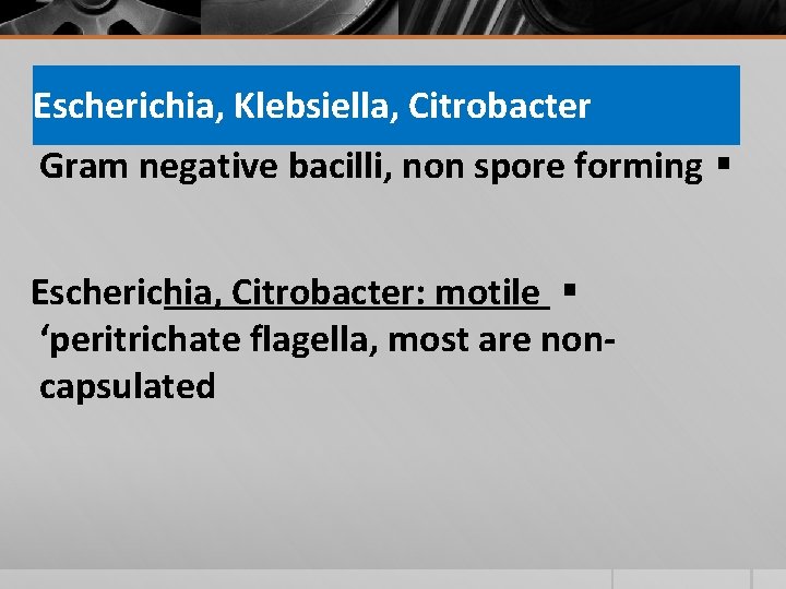 Escherichia, Klebsiella, Citrobacter Gram negative bacilli, non spore forming § Escherichia, Citrobacter: motile §