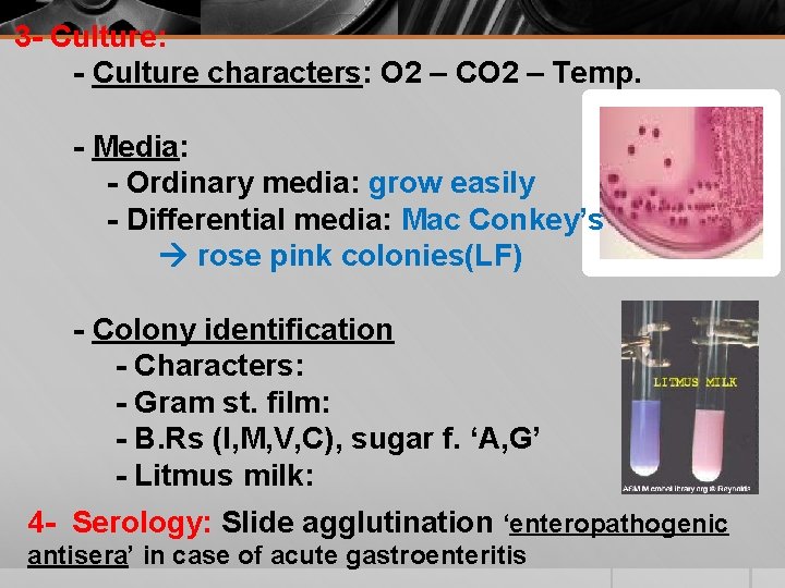 3 - Culture: - Culture characters: O 2 – CO 2 – Temp. -