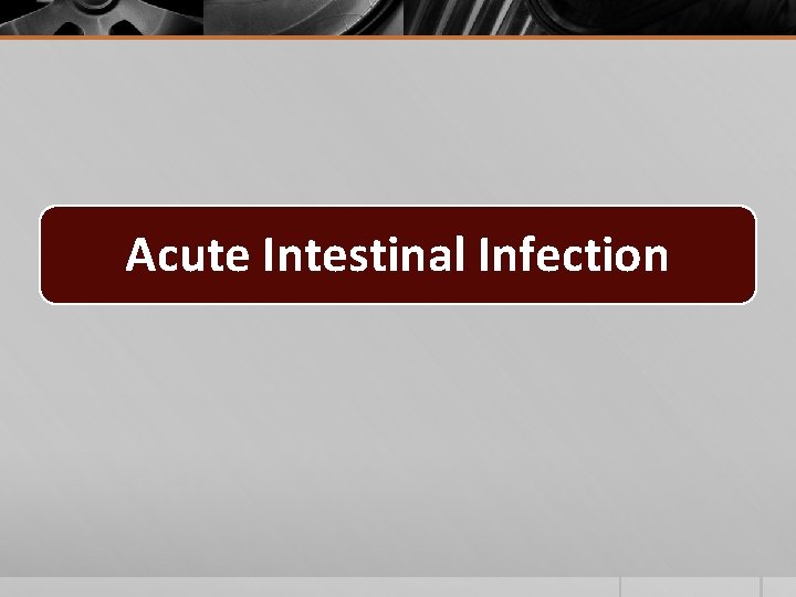 Acute Intestinal Infection 