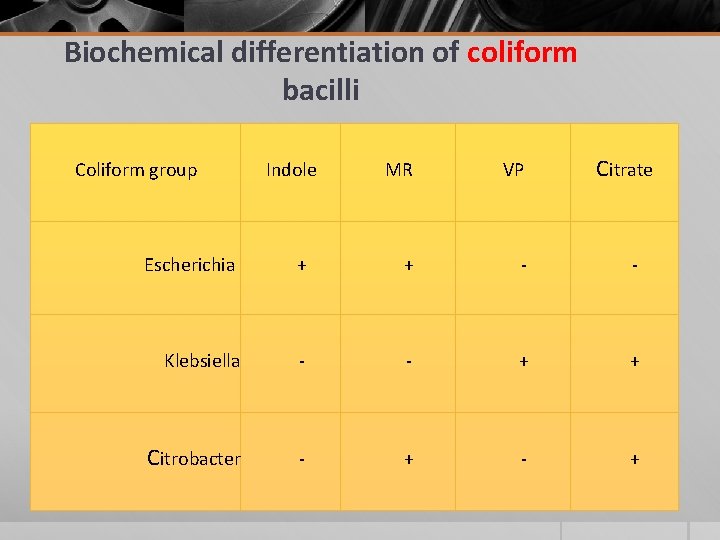 Biochemical differentiation of coliform bacilli Coliform group Indole MR VP Citrate Escherichia + +