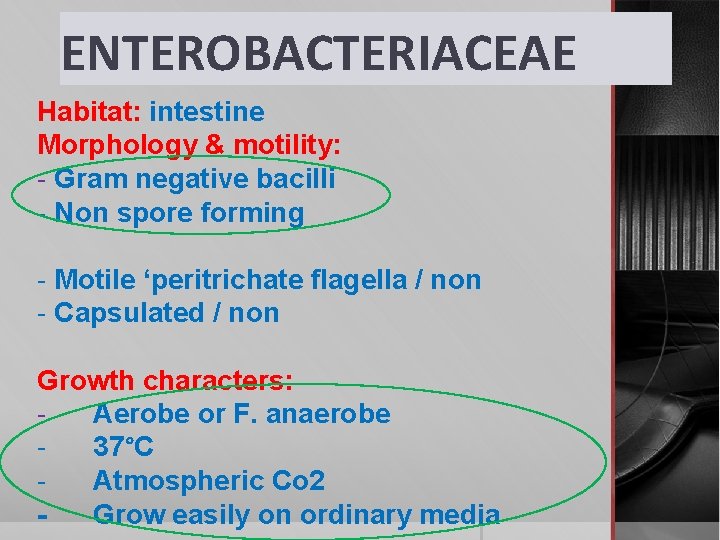 ENTEROBACTERIACEAE Habitat: intestine Morphology & motility: - Gram negative bacilli - Non spore forming
