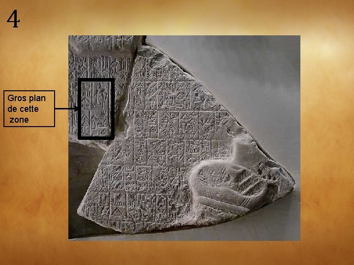 4 Gros plan de cette zone 