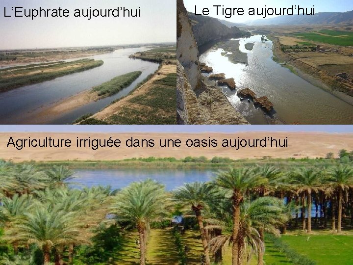 L’Euphrate aujourd’hui Le Tigre aujourd’hui Agriculture irriguée dans une oasis aujourd’hui 