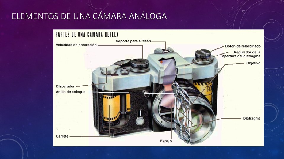 ELEMENTOS DE UNA CÁMARA ANÁLOGA 