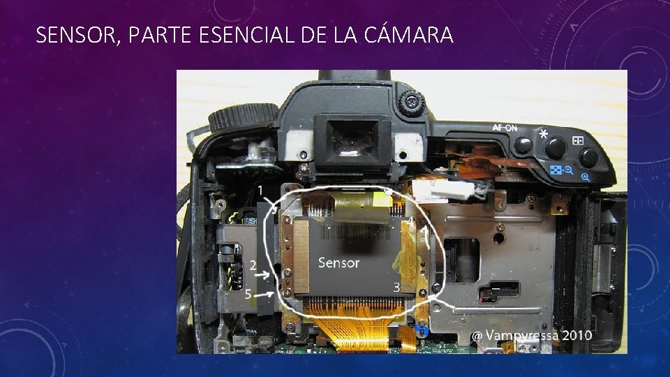 SENSOR, PARTE ESENCIAL DE LA CÁMARA 