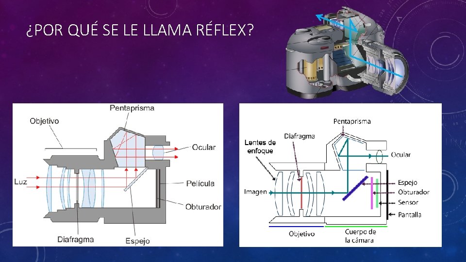 ¿POR QUÉ SE LE LLAMA RÉFLEX? 