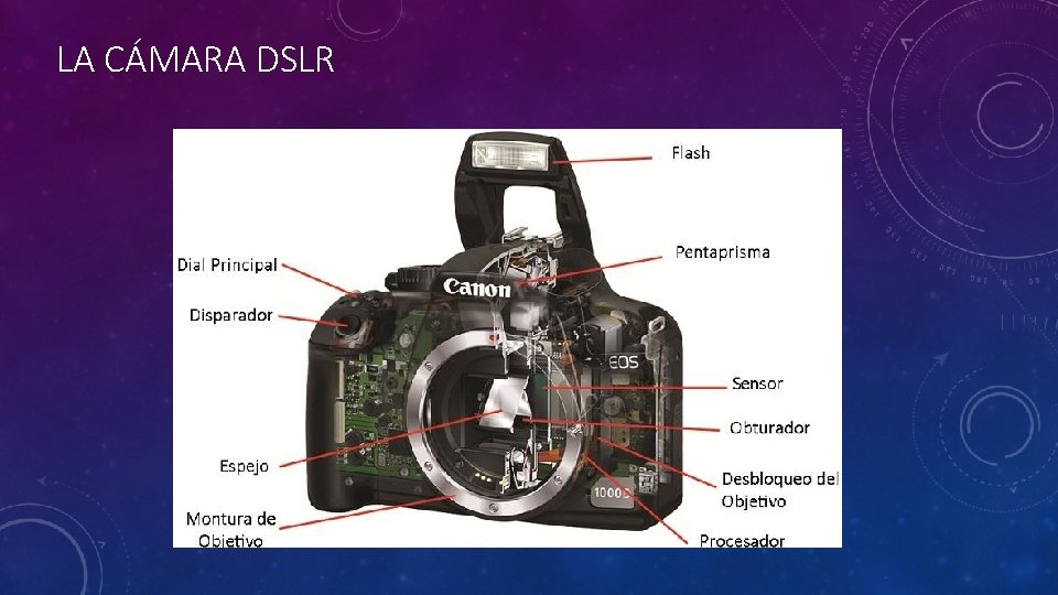 LA CÁMARA DSLR 