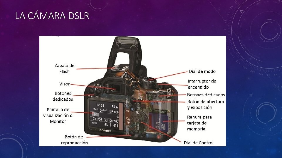 LA CÁMARA DSLR 