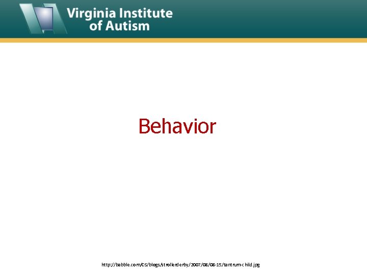 Behavior http: //babble. com/CS/blogs/strollerderby/2007/08/08 -15/tantrum-child. jpg 