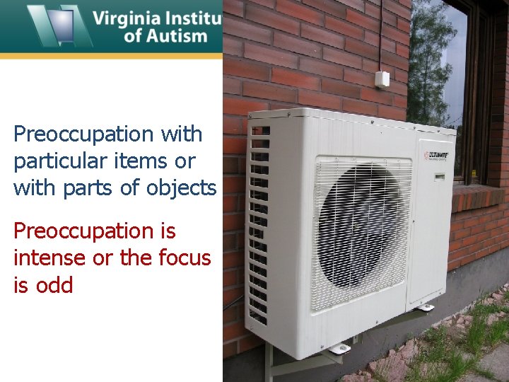 Preoccupation with particular items or with parts of objects Preoccupation is intense or the