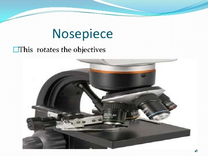 Nosepiece �This rotates the objectives 18 