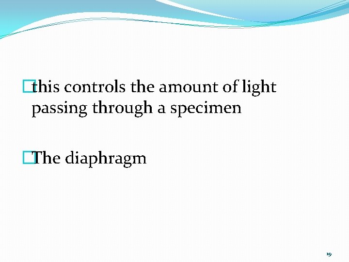 �this controls the amount of light passing through a specimen �The diaphragm 19 