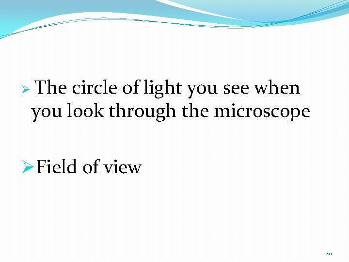 Ø The circle of light you see when you look through the microscope ØField