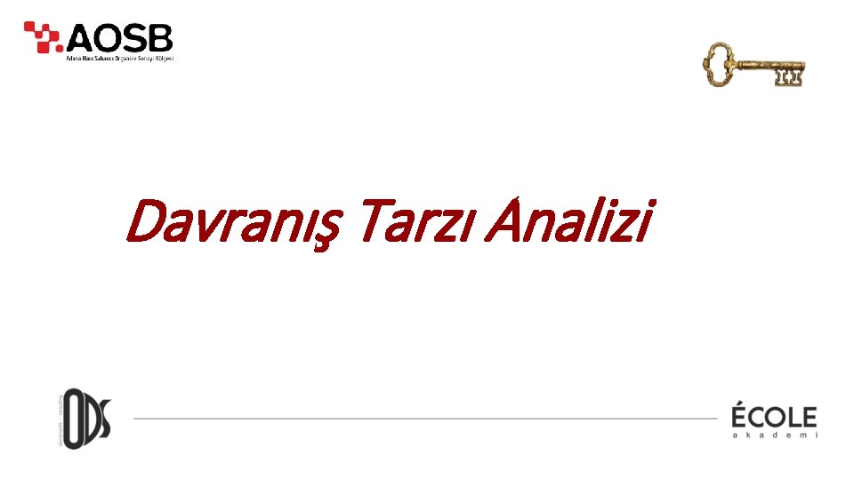 Davranış Tarzı Analizi 