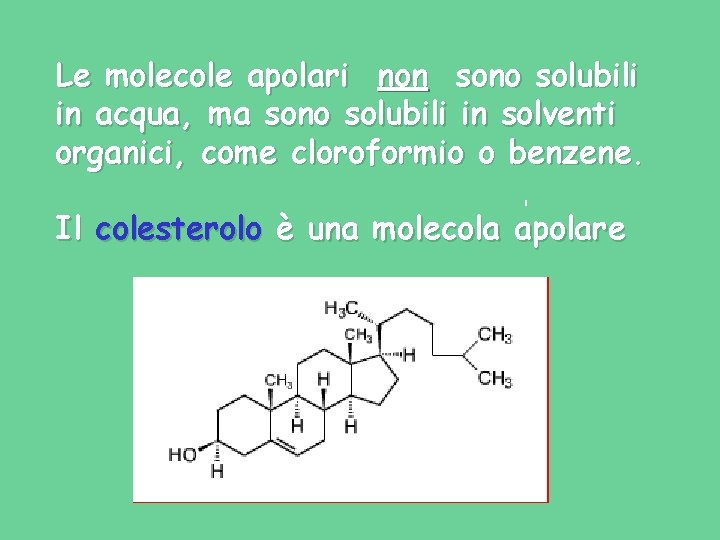 Le molecole apolari non sono solubili in acqua, ma sono solubili in solventi organici, Le molecole apolari non sono solubili in acqua, ma sono solubili in solventi organici,