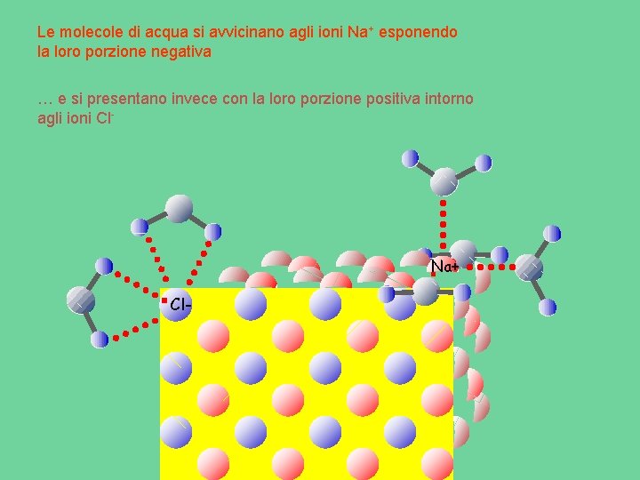 Le molecole di acqua si avvicinano agli ioni Na+ esponendo la loro porzione negativa Le molecole di acqua si avvicinano agli ioni Na+ esponendo la loro porzione negativa