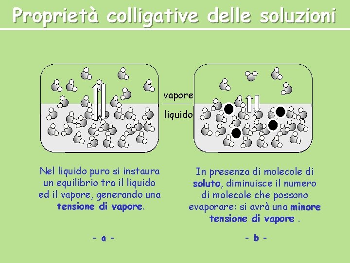 Proprietà colligative delle soluzioni vapore liquido Nel liquido puro si instaura un equilibrio tra Proprietà colligative delle soluzioni vapore liquido Nel liquido puro si instaura un equilibrio tra
