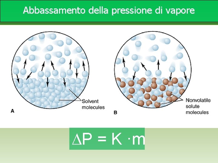 Abbassamento della pressione di vapore P = K ·m Abbassamento della pressione di vapore P = K ·m