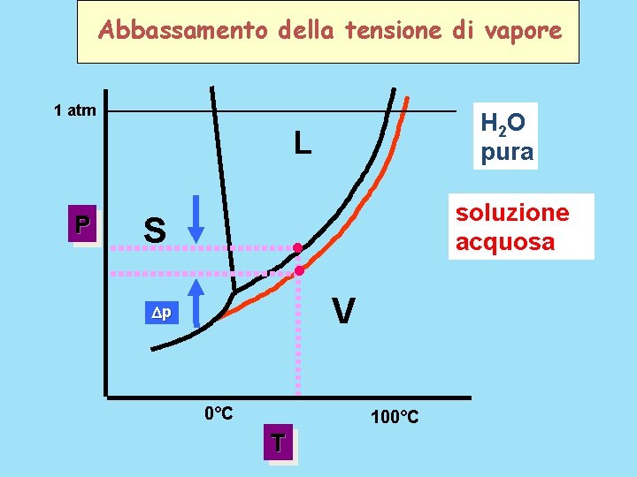 Abbassamento della tensione di vapore 1 atm H 2 O pura L P S Abbassamento della tensione di vapore 1 atm H 2 O pura L P S