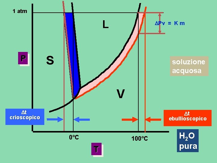 1 atm L P Pv = K m S soluzione acquosa V t crioscopico 1 atm L P Pv = K m S soluzione acquosa V t crioscopico