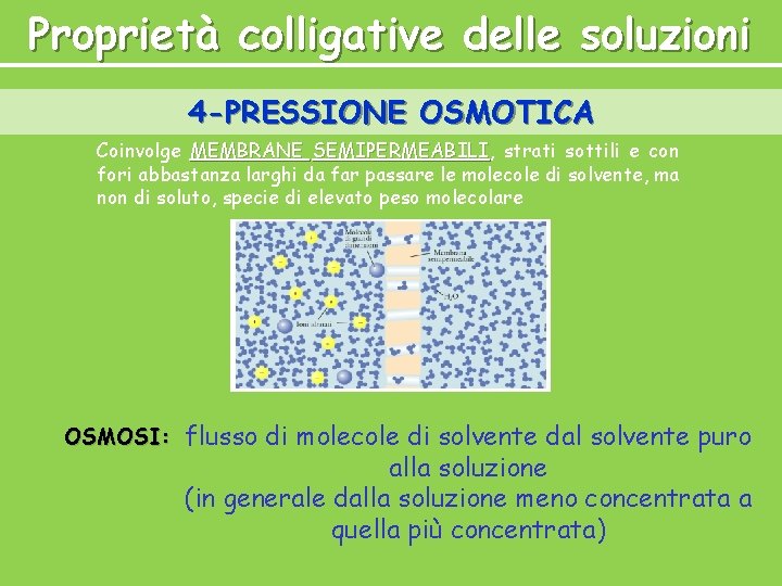 Proprietà colligative delle soluzioni 4 -PRESSIONE OSMOTICA Coinvolge MEMBRANE SEMIPERMEABILI, SEMIPERMEABILI strati sottili e Proprietà colligative delle soluzioni 4 -PRESSIONE OSMOTICA Coinvolge MEMBRANE SEMIPERMEABILI, SEMIPERMEABILI strati sottili e