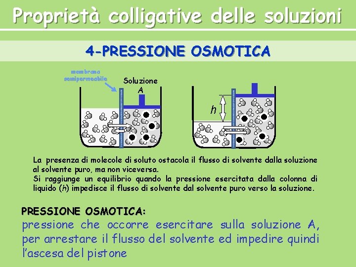 Proprietà colligative delle soluzioni 4 -PRESSIONE OSMOTICA membrana semipermeabile Soluzione A h La presenza Proprietà colligative delle soluzioni 4 -PRESSIONE OSMOTICA membrana semipermeabile Soluzione A h La presenza
