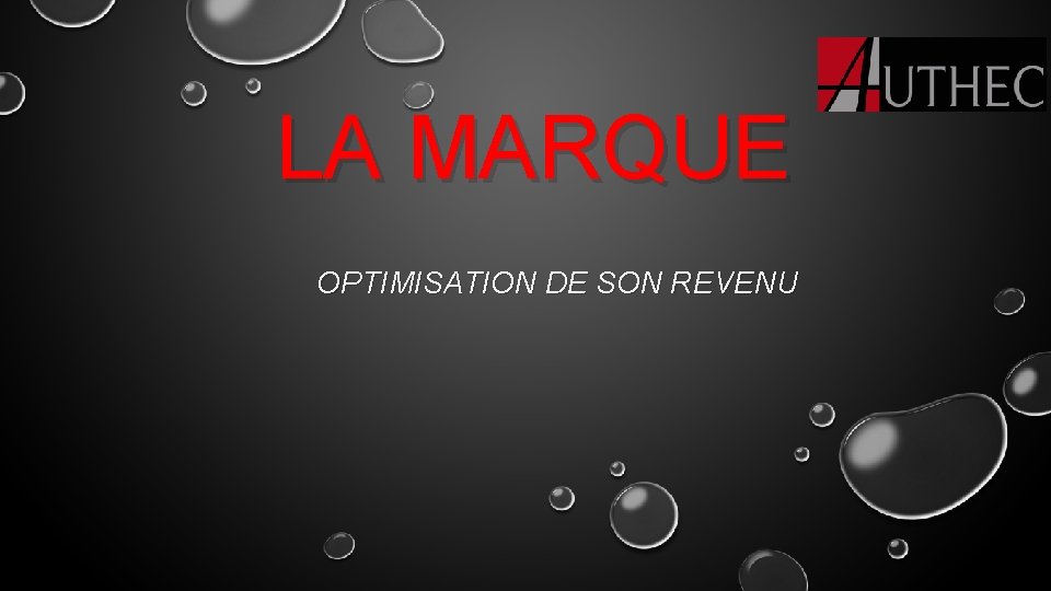 LA MARQUE OPTIMISATION DE SON REVENU 