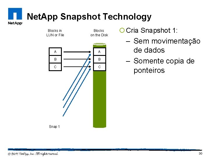 Net. App Snapshot Technology Blocks in LUN or File Blocks on the Disk AA