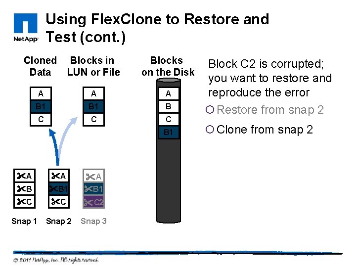 Using Flex. Clone to Restore and Test (cont. ) Cloned Data Blocks in LUN
