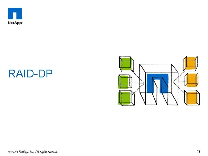RAID-DP 73 