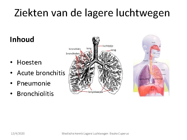 Ziekten van de lagere luchtwegen Inhoud • • Hoesten Acute bronchitis Pneumonie Bronchiolitis 12/4/2020