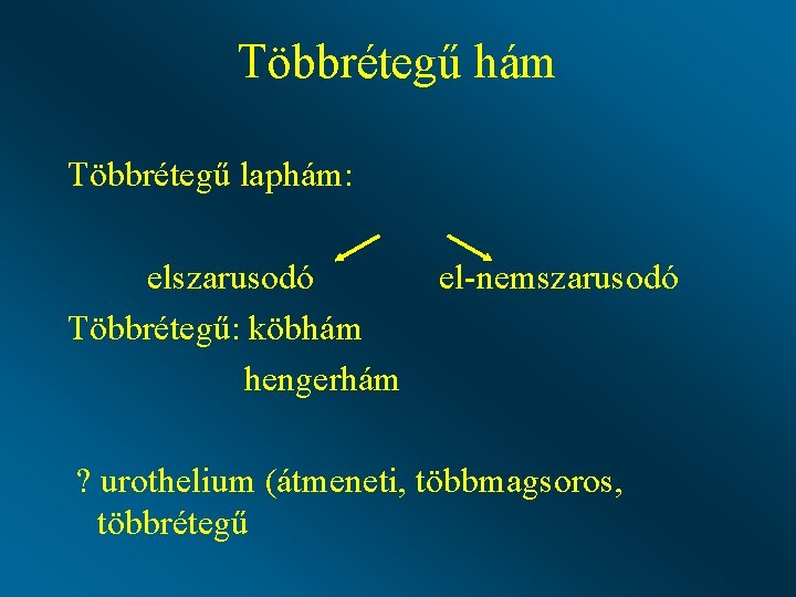 Többrétegű hám Többrétegű laphám: elszarusodó Többrétegű: köbhám hengerhám el-nemszarusodó ? urothelium (átmeneti, többmagsoros, többrétegű