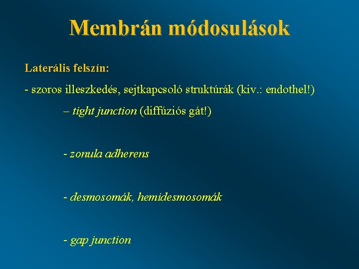 Membrán módosulások Laterális felszín: - szoros illeszkedés, sejtkapcsoló struktúrák (kiv. : endothel!) – tight