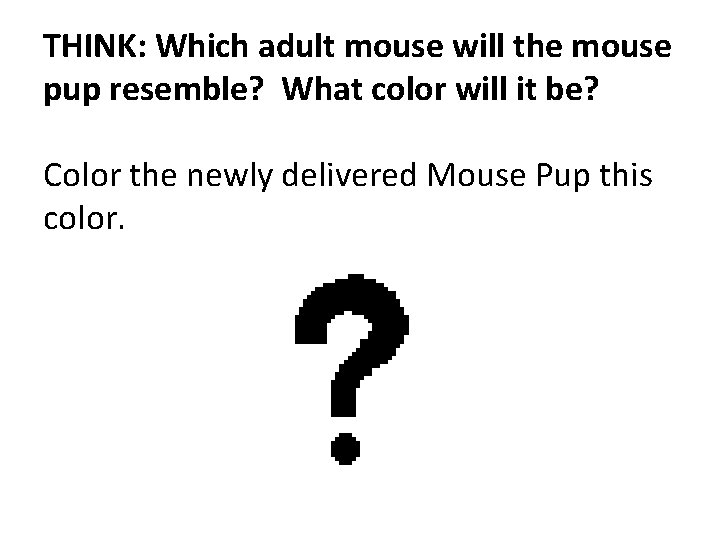 THINK: Which adult mouse will the mouse pup resemble? What color will it be?