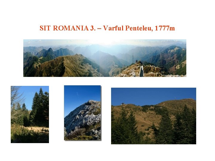 SIT ROMANIA 3. – Varful Penteleu, 1777 m 