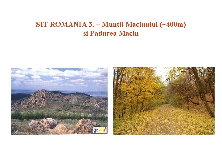 SIT ROMANIA 3. – Muntii Macinului (~400 m) si Padurea Macin 