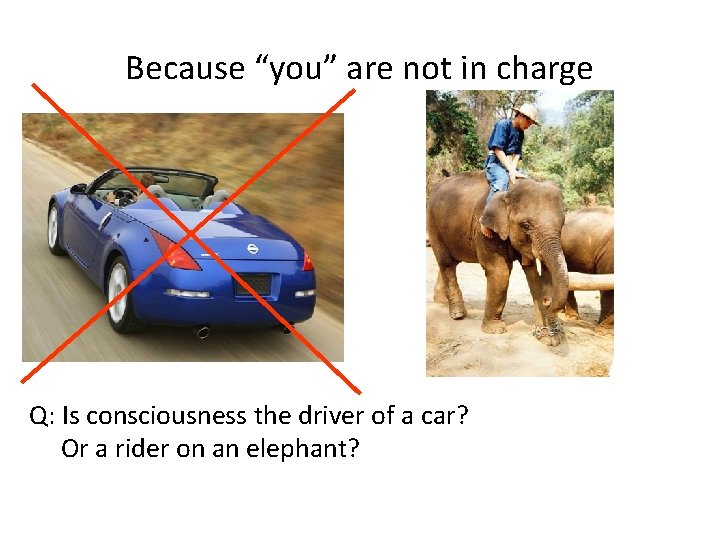 Because “you” are not in charge Q: Is consciousness the driver of a car?